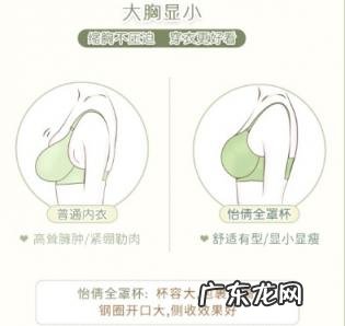 倩意内衣怎么样 怡倩内衣好穿吗知乎