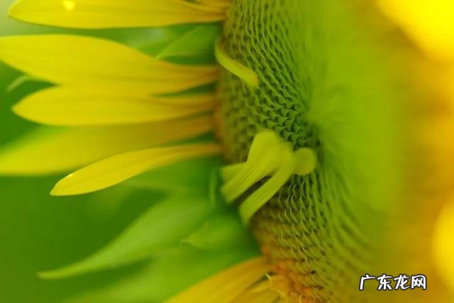 镜头焦距怎么看图解 镜头焦距和焦距