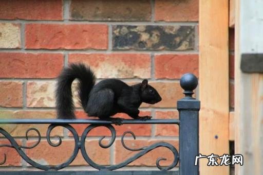 镜头焦距怎么看图解 镜头焦距和焦距