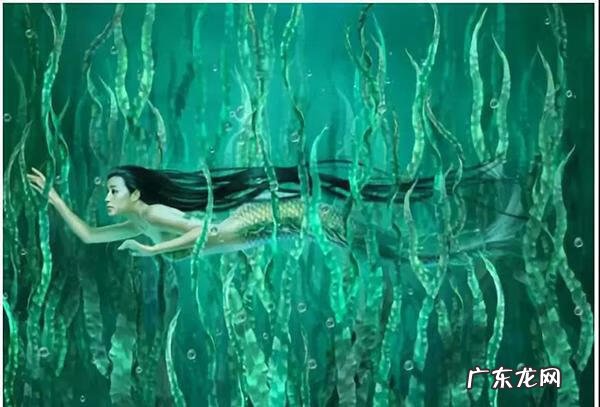 人鱼血 《人鱼伤痕》