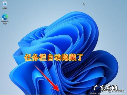 怎样隐藏任务栏图标显示的内容 隐藏windows10任务栏