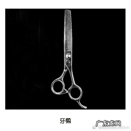 找宠物剪刀法 宠物剪刀的使用方法