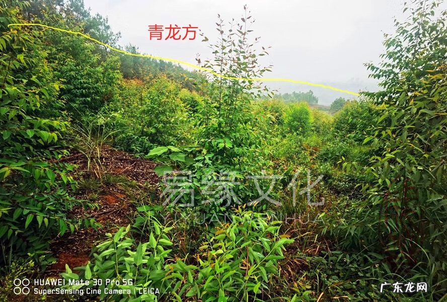 风水大师讲解视频 风水大师实地讲解风水实例