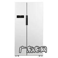 国产冰箱哪个品牌好? 2021年冰箱推荐选购指南