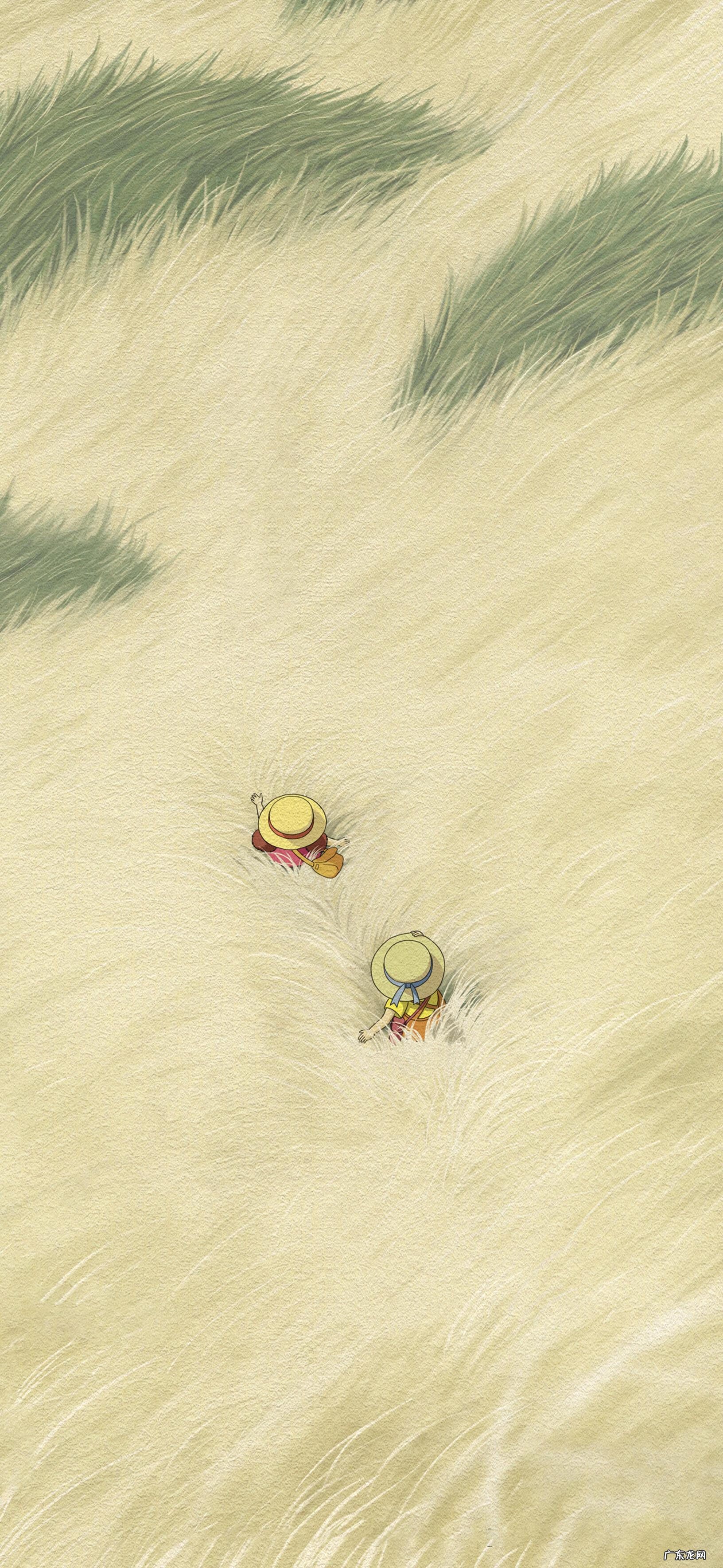 龙猫高清手机壁纸 龙猫壁纸动漫