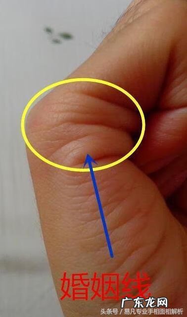 风水中手掌各种推算法 如何在手掌上看风水视频