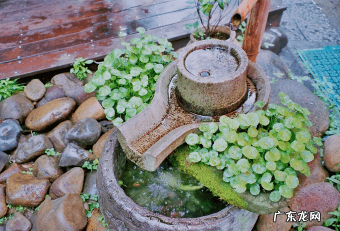 慎思堂 慎思堂风水