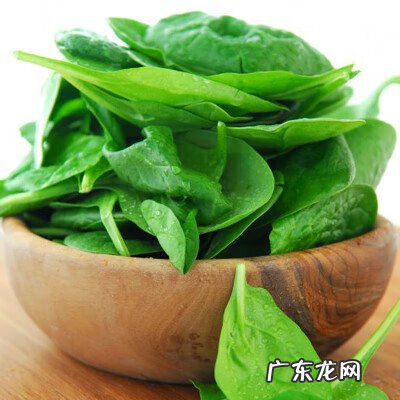 惠氏玛特纳产妇 惠氏玛特纳和爱乐维的区别