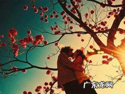 风水 桃花 桃花风水寓意