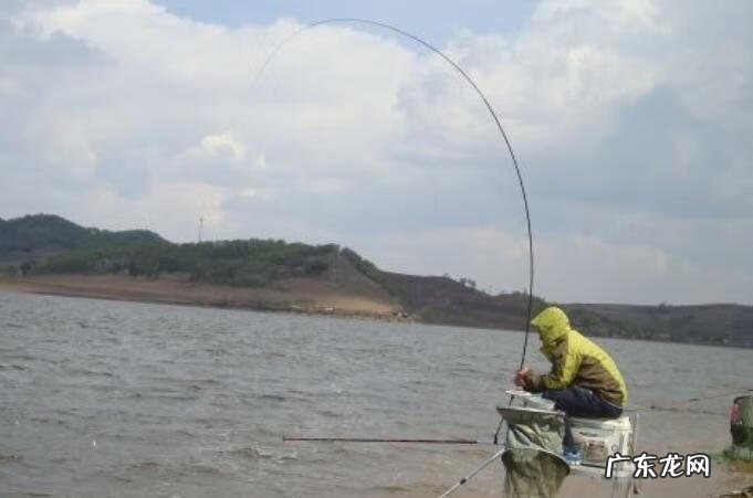 鲤鱼山 鲤鱼地风水 哪个位置好