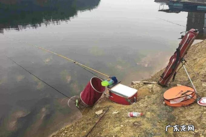 鲤鱼山 鲤鱼地风水 哪个位置好