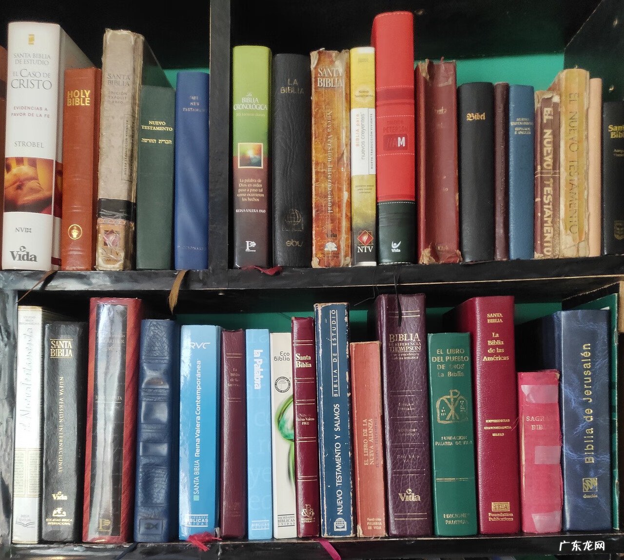 日语在线翻译 国内日语翻译公司