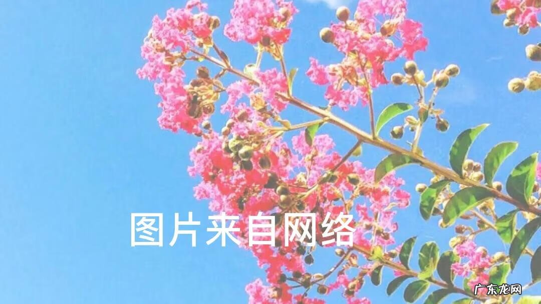 怎么看买家信誉 买家信誉分在哪看