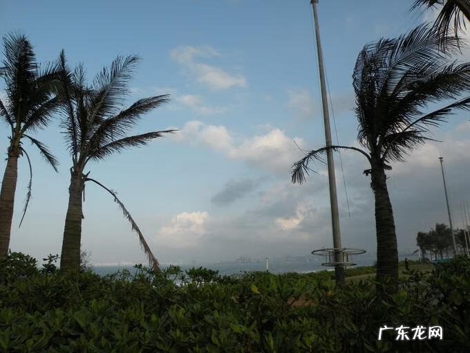 岳飞传武将培养攻略 游戏岳飞传攻略