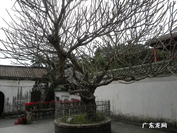 岳飞传武将培养攻略 游戏岳飞传攻略