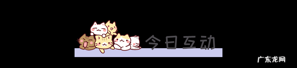 猫来富 猫的名字叫来福