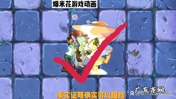 植物大战僵尸2高清 植物僵尸大战2