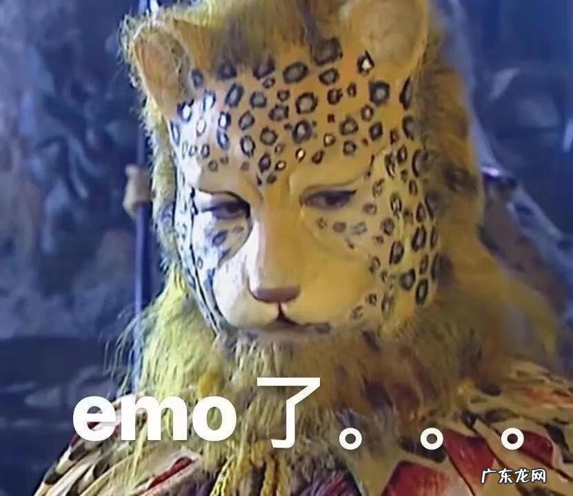 爱的抱抱斑斑点点 爱的豹豹