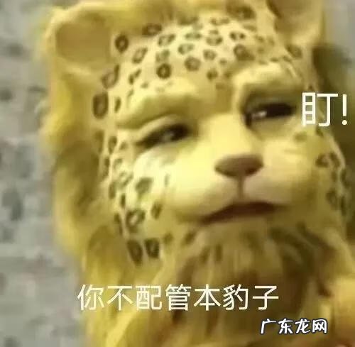 爱的抱抱斑斑点点 爱的豹豹