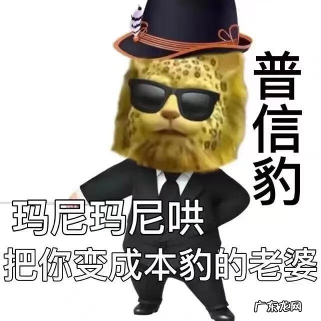 爱的抱抱斑斑点点 爱的豹豹