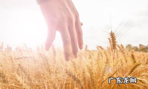 独一无二的二字昵称生僻字 精选500个 独一无二的二字昵称