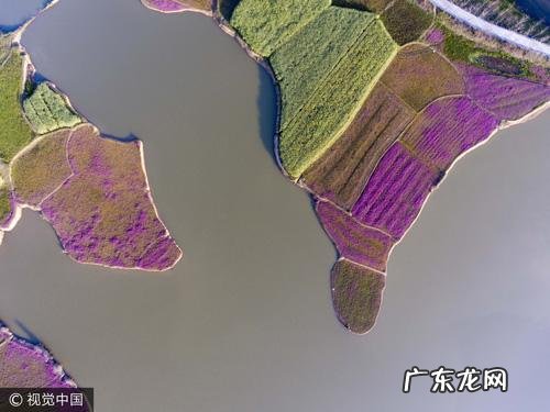 鄱阳湖属于哪个市 鄱阳湖在哪里啊