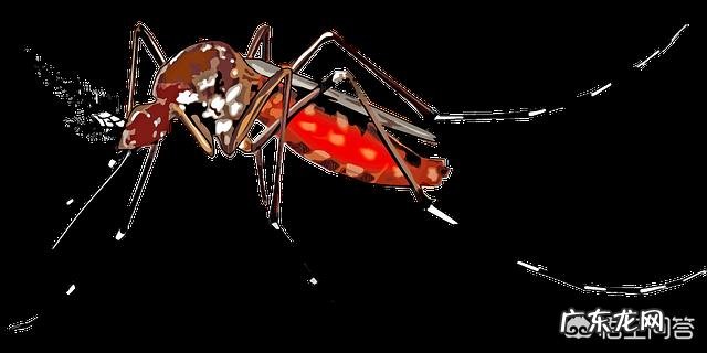 小伙伴们有什么防蚊小妙招吗?还有被蚊子叮咬后,如何消肿?