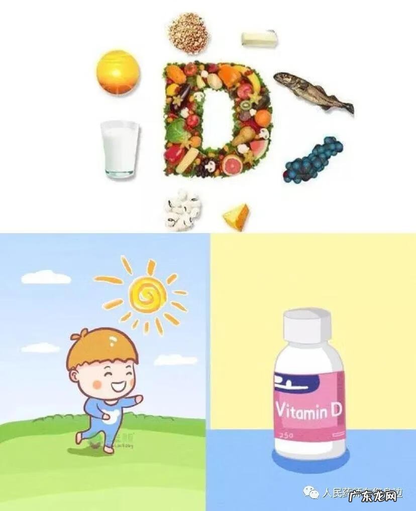 维生素d的作用 维生素d