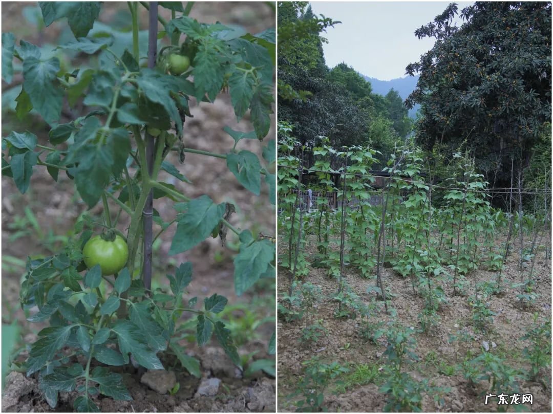 千岛湖有多少岛 隐居千岛湖风水