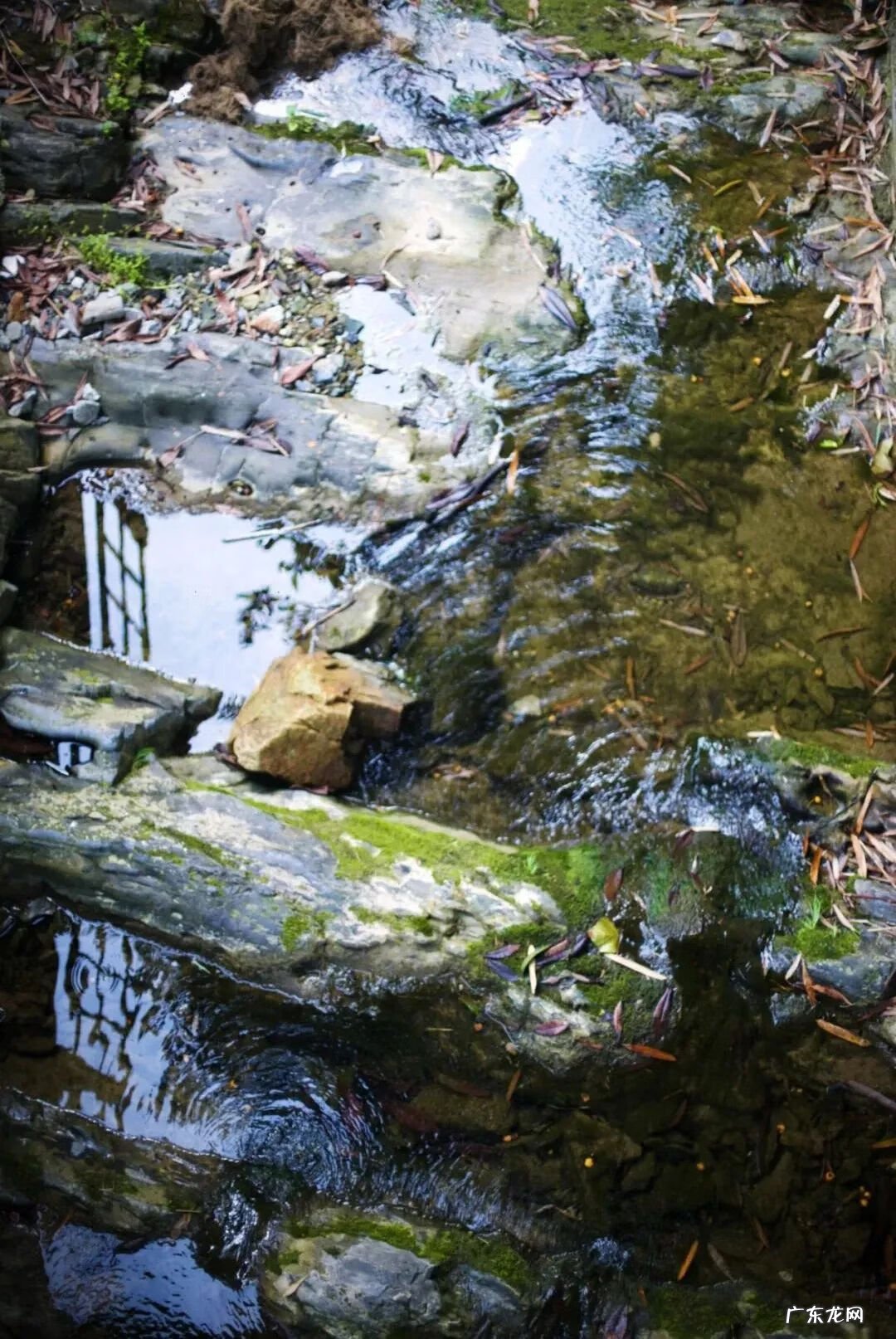 千岛湖有多少岛 隐居千岛湖风水