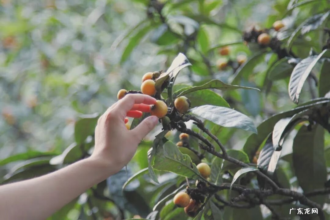 千岛湖有多少岛 隐居千岛湖风水