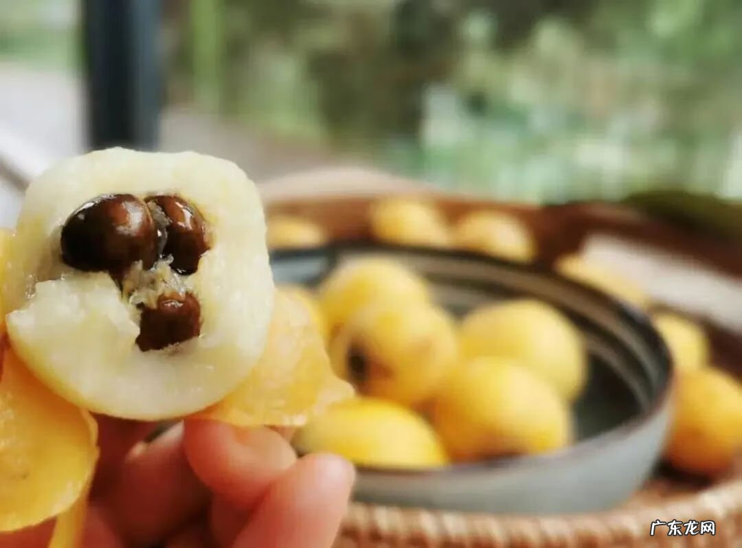千岛湖有多少岛 隐居千岛湖风水