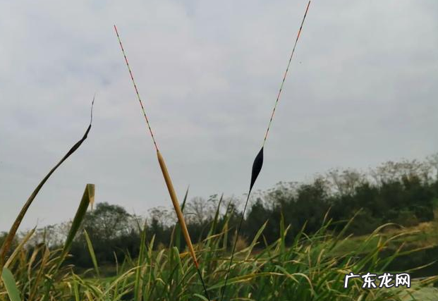 浮钓鱼 钓鱼 浮标