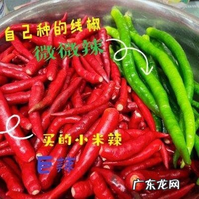 牛肉辣椒酱的做法大全图解