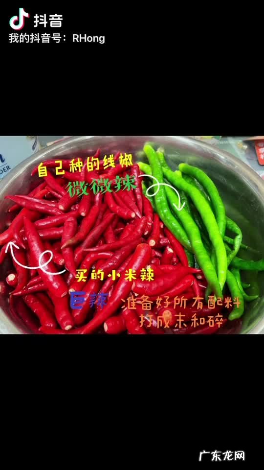 牛肉辣椒酱的做法大全图解