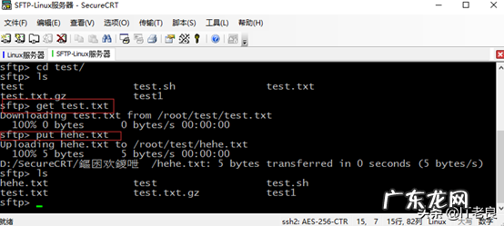 什么是CRT 主机上crt是什么意思