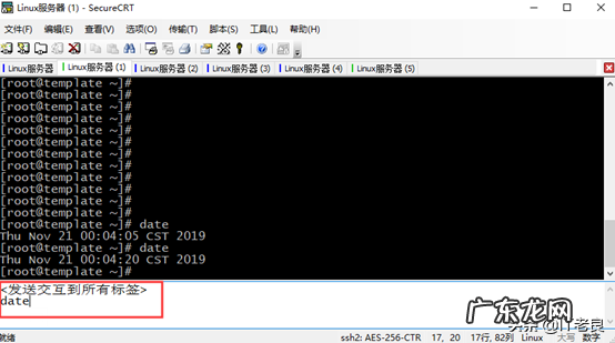 什么是CRT 主机上crt是什么意思