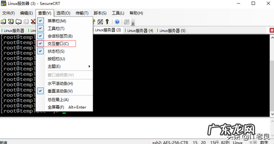 什么是CRT 主机上crt是什么意思