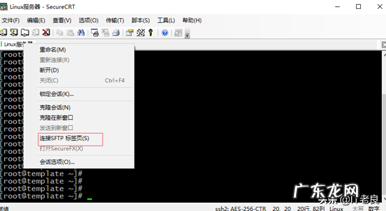 什么是CRT 主机上crt是什么意思