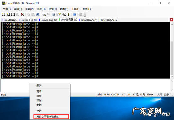 什么是CRT 主机上crt是什么意思
