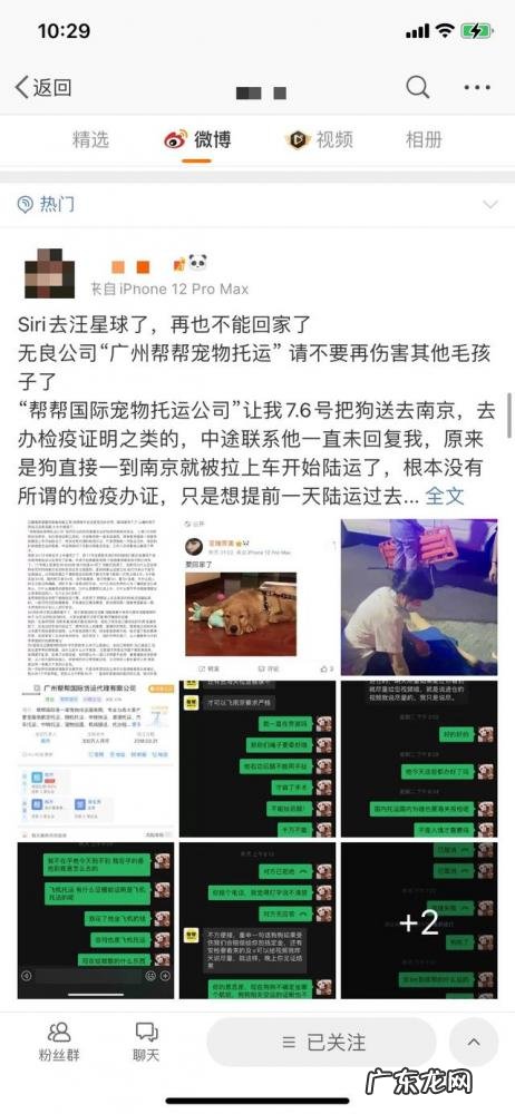 siri金毛托运事件议论文 Siri金毛托运事件