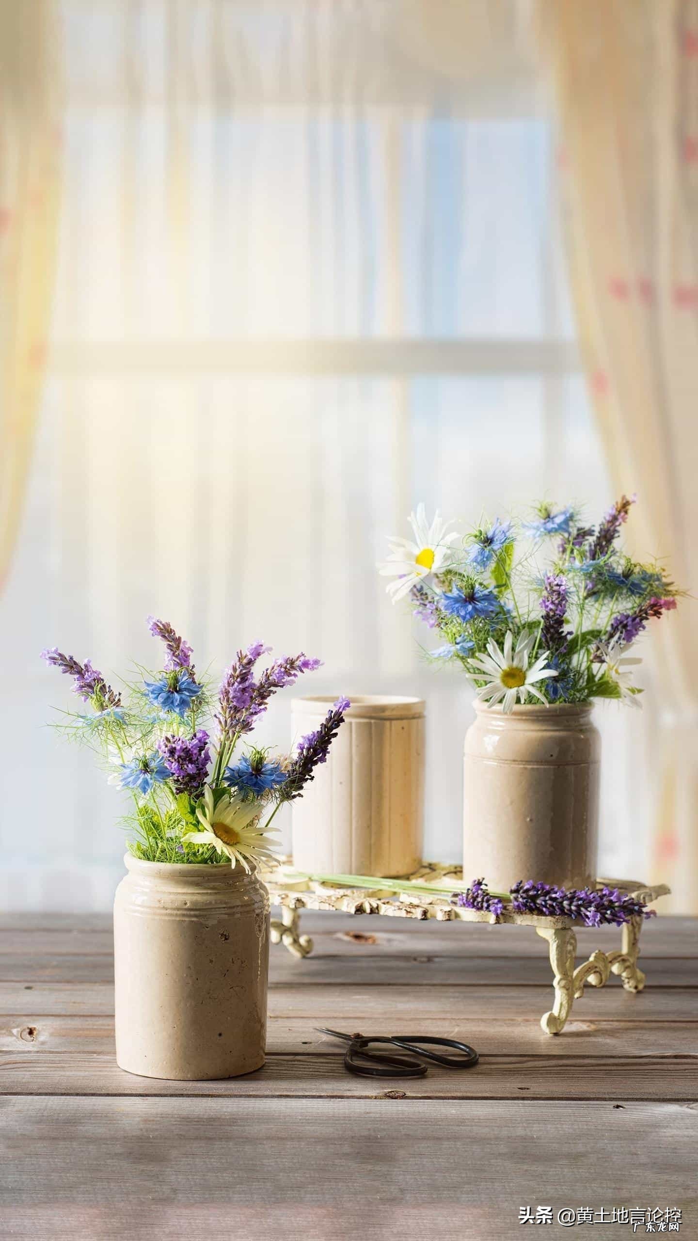 作为一名家政阿姨该不该给雇主洗内衣裤?