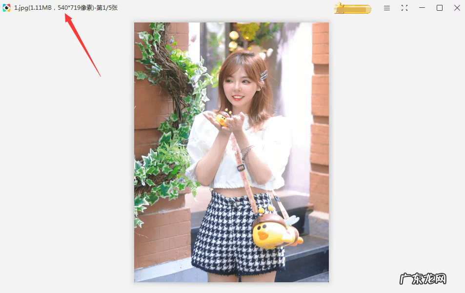 批量处理图片大小的软件 图片大小处理软件有哪些