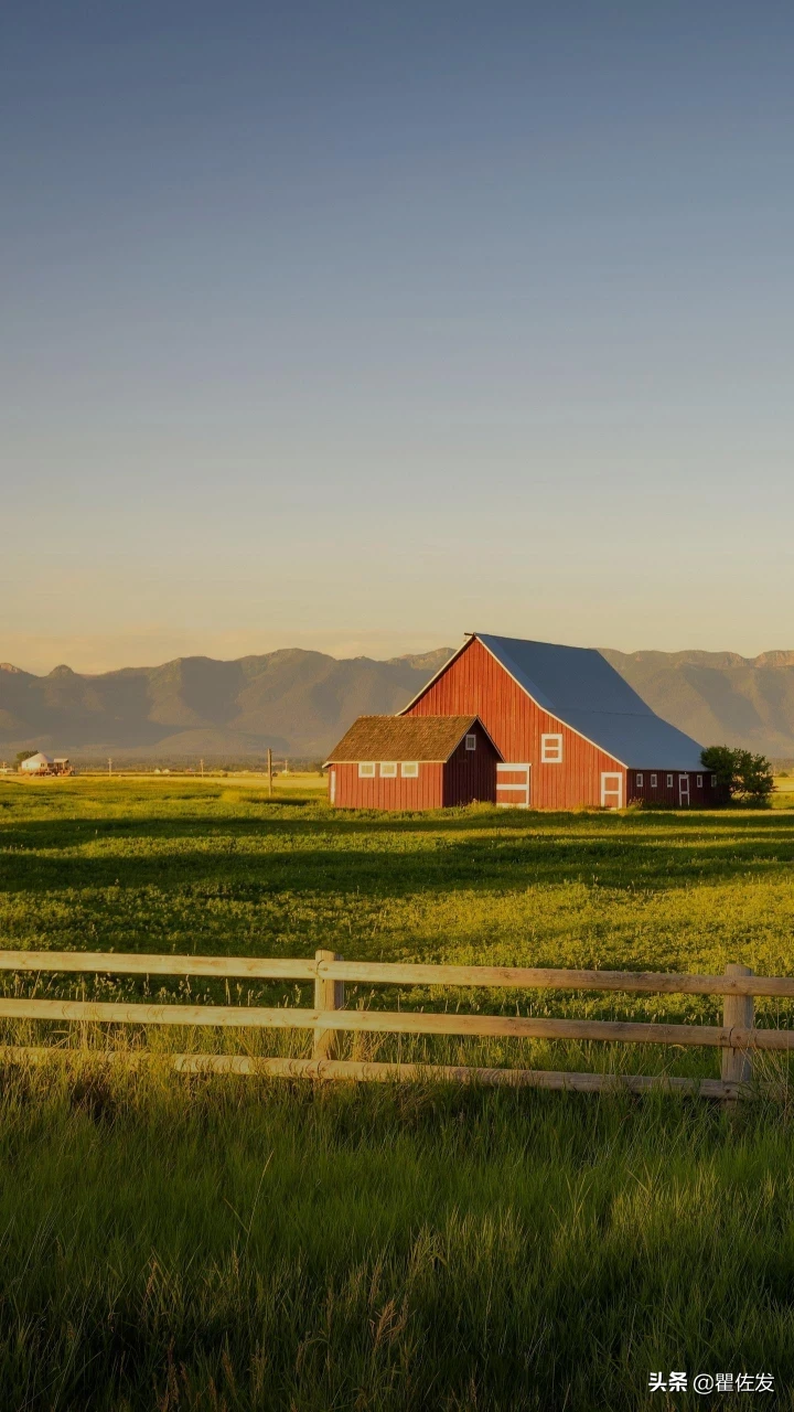 去国外旅游需要做哪些准备？