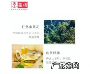 童将山茶花护臀油怎么样 童将山茶油和松达山茶油哪个好用