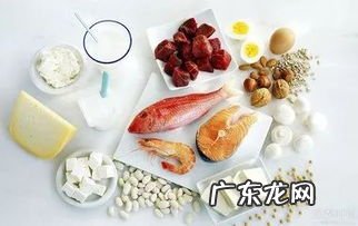 哪些食物含胶原蛋白比较高 高热量高蛋白高脂肪的食物有哪些