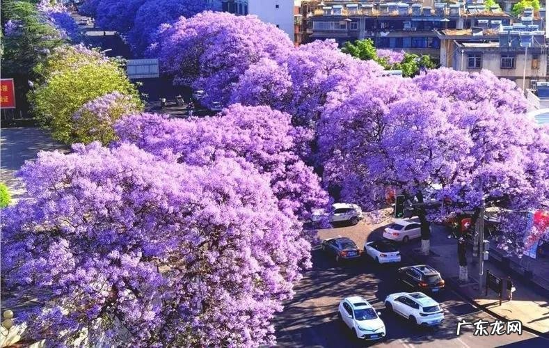 网上正品网站有哪些 正品网购哪个网站好