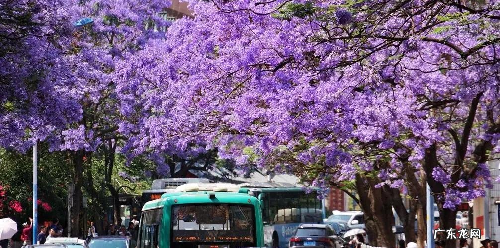 网上正品网站有哪些 正品网购哪个网站好