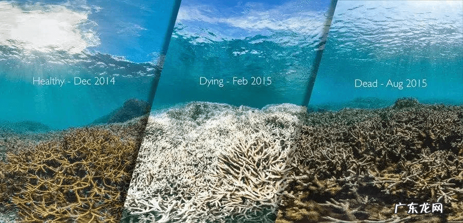 防晒效果最好防晒霜 防晒霜哪个牌子好?