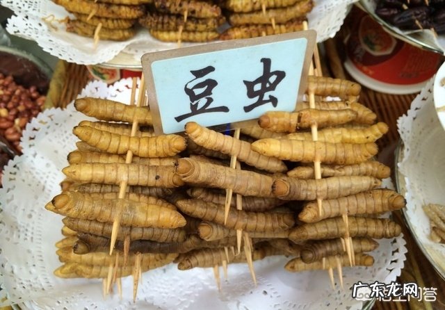 农田里的六种野味,大家都吃过吗?